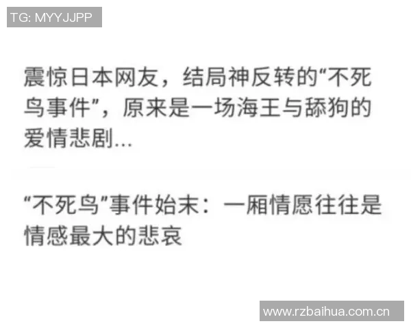 杨瀚森进攻联盟垫底的真相揭示数据与事实让他的团队心服口服